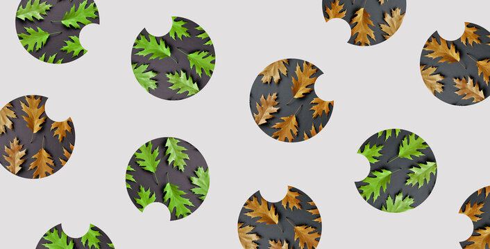Autumn leaves seamless patterned background, golden, green, modern design. Red oak leaves, colorful, graphic circles, isolated objects. Autumnal backgrounds, playful autumn fall concept