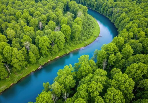 A stunning aerial perspective showcases a winding blue river carving through a dense canopy of vibrant green trees in a pristine wilderness, growth, environment, nature