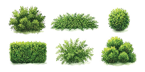Set of green bushes and garden hedges for landscape design ©  creative  marlia