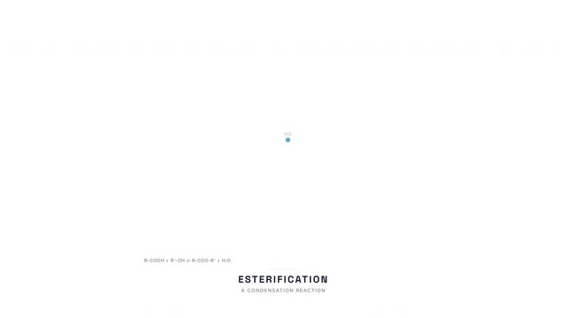 Esterification Reaction Animation &mdash; Carboxylic Acid Alcohol Condensation Chemistry Loop