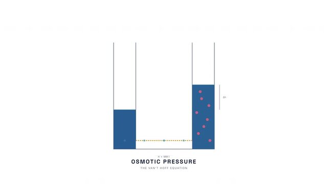 Osmotic Pressure U-Tube Animation &mdash; Semipermeable Membrane Colligative Property Chemistry Loop
