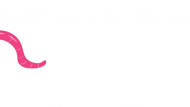 2D animated pink earthworm moving across clean white background. Looping motion element.