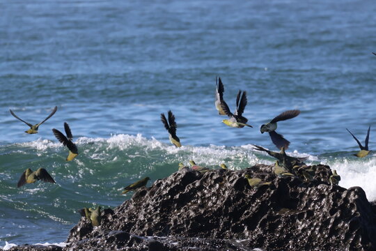Here comes a wave&mdash;jump and run for it!