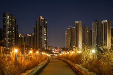 억새,산책로,고층아파트,논현동,남동구,인천 © JinChang