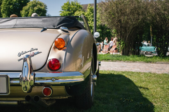 Rear Detail of Austin-Healey 3000 Roadster