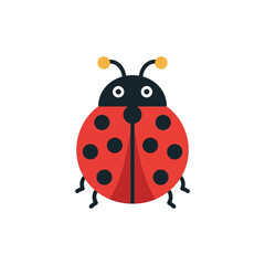 Fototapeta premium Cute Red Ladybug Insect Illustration, Flat Design, Isolated on White Background