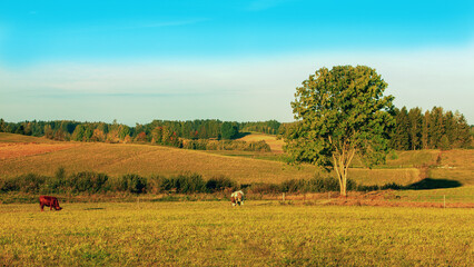 Suwalszczyzna © Janusz Lipiński