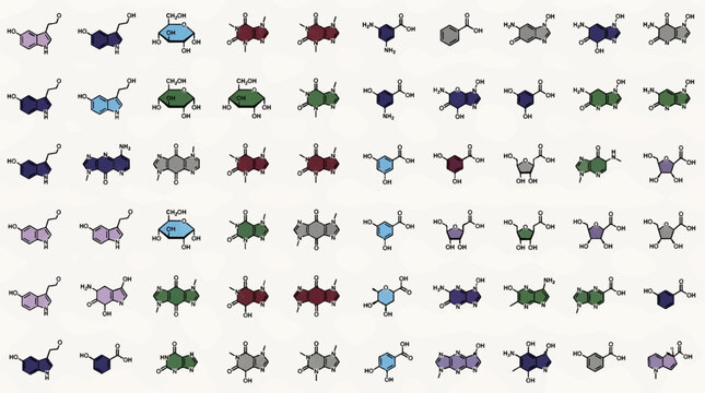 Flat Vector Icon Sheet Set of Various Organic Molecules, Including Sugars, Amino Acids, and Purines, with Different Color Fillings and Black Outlines on White Background, Science and Chemistry