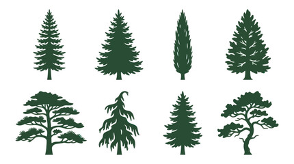 Obraz premium Collection of evergreen tree silhouettes