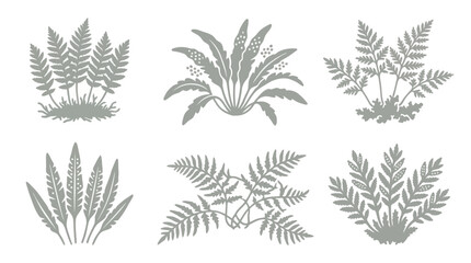 Collection of stylized fern silhouettes © Alan