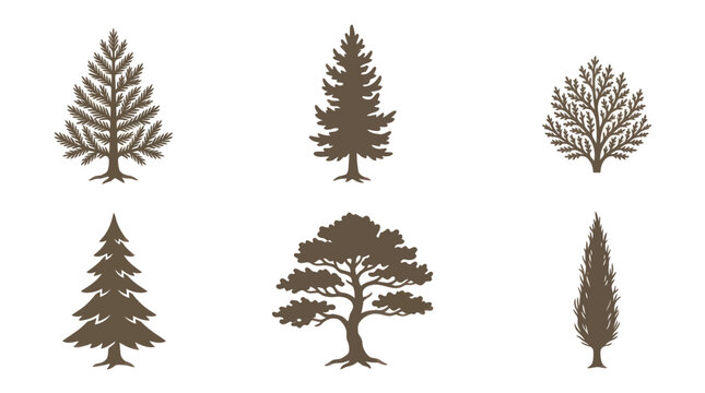 Collection of pine and fir tree silhouettes
