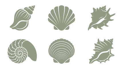 Collection of marine shell icons © Akun