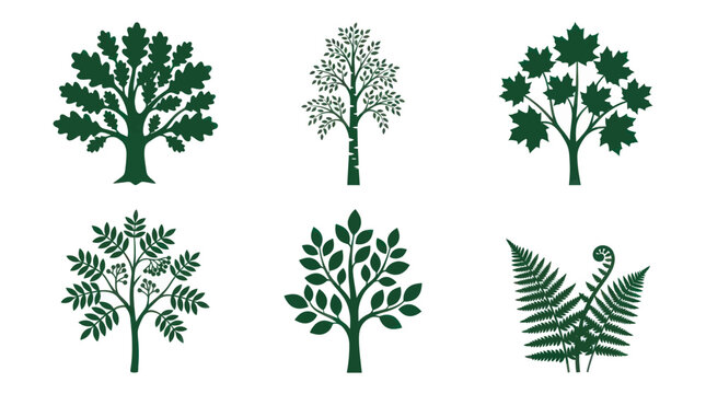 Collection of stylized trees and ferns