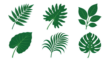 Collection of tropical plant leaves © Alexa