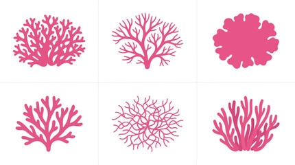 Coral reef marine life illustrations © Alexa