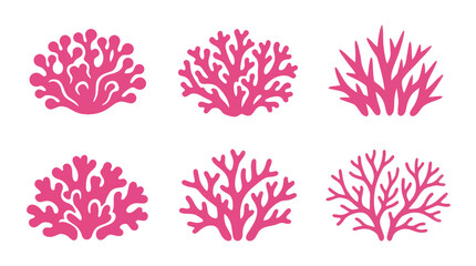 Coral reef elements illustration © Alexa