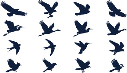 Fototapeta premium Flying Bird Silhouette Collection with Eagle Heron Goose Swallow Sparrow and Wildlife Avian Flight Poses Vector Illustration Set