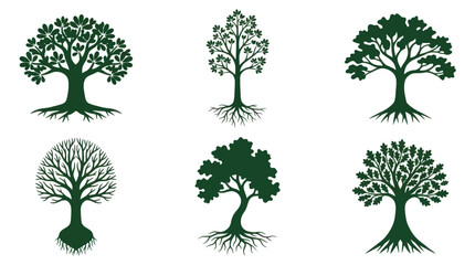 Diverse tree illustrations with root systems © Gulung