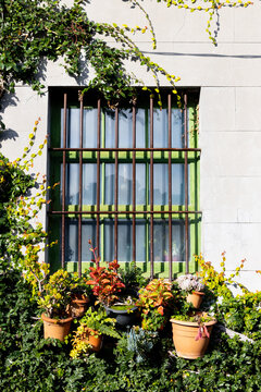 Greenery encases a barred window with potted plants and succulents on a building facade in Fitzroy, Melbourne