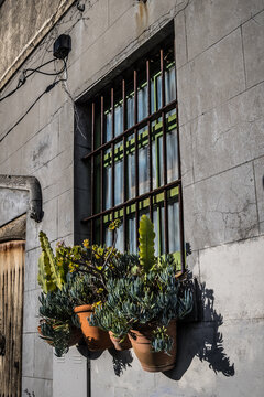 Fitzroy Melbourne Architectural Exterior Facade Details with Potted Succulents and Street Sign