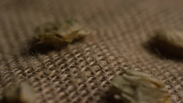 Dried organic hop cones resting on rustic burlap fabric in a soft focus macro cinematic product shot