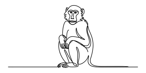 Simple continuous line drawing of a cute monkey sitting calmly looking forward as a minimalist black and white animal vector illustration design Vector, illustration © Single Line 2019