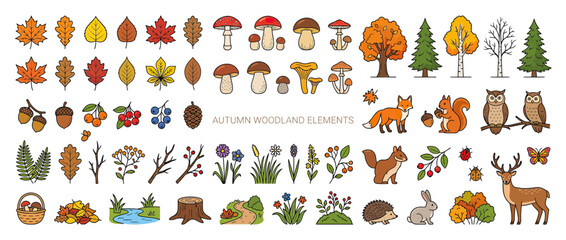 Obraz premium Autumn Woodland Elements Collection