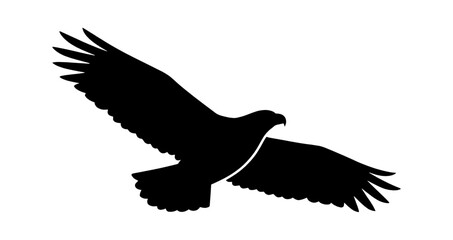 Fototapeta premium Black silhouette of an eagle flying with wings spread wide in a soaring motion representing freedom and power in nature isolated on transparent background, Vector