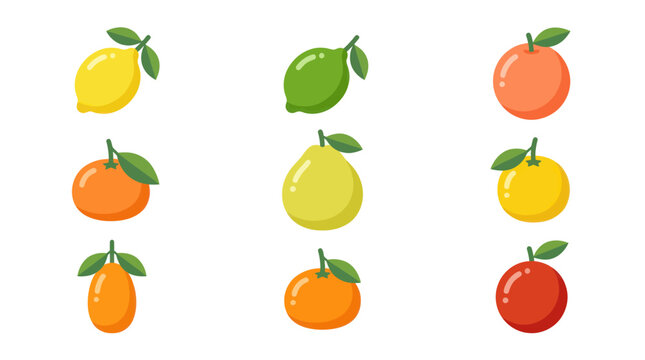 Assorted citrus fruits collection