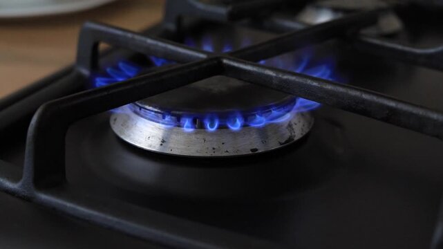 Burning blue gas flame on a kitchen stove hob ring. Kitchen stove burner under a black metal trivet grate cooking panel surface.