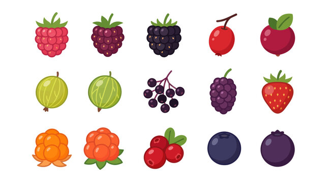 Assorted fresh berries collection