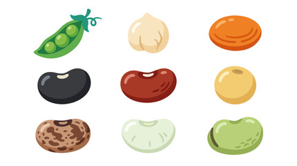 Fototapeta premium Assorted legumes and vegetables collection