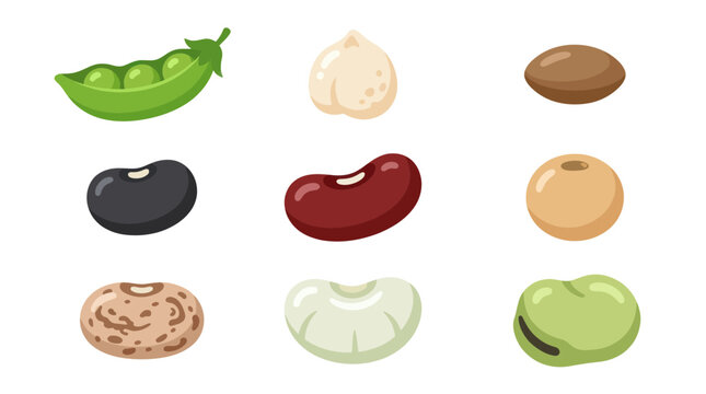 Assorted legumes and beans collection