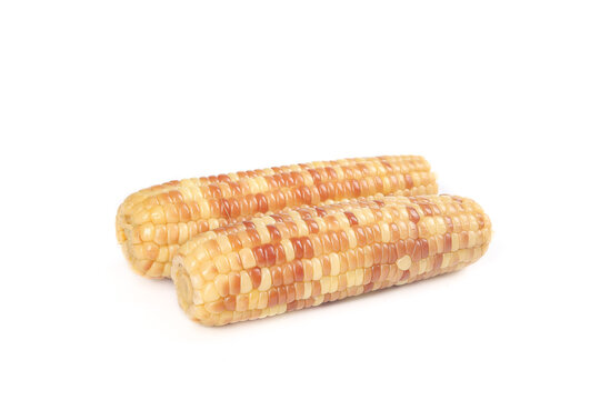 Sweet Scented Multicolored Corn Cobs Yunnan Glutinous Rice Variety Northeast China Fresh Vegetables