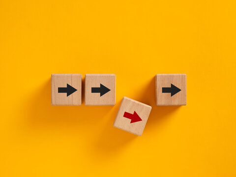 Disruption, separation, divergence, and different paths or choices