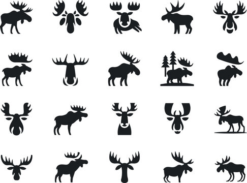 Collection of black moose silhouettes standing walking and animal head icons isolated on a white background