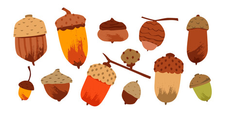 Autumn acorn collection featuring oak seeds, leaves, and botanical elements in a textured hand drawn style. Vector illustration Isolated on White Background. © vik.stock