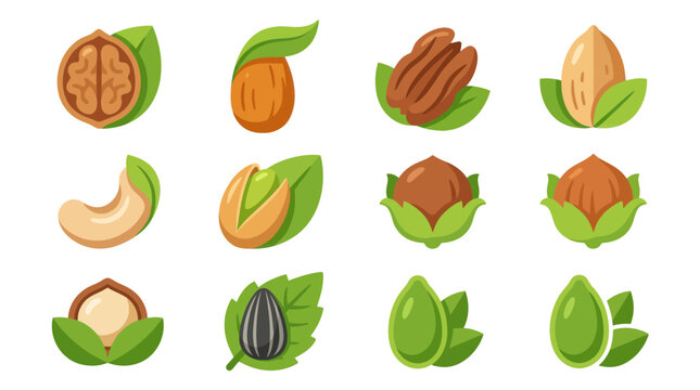 Assorted nuts and seeds vector icons