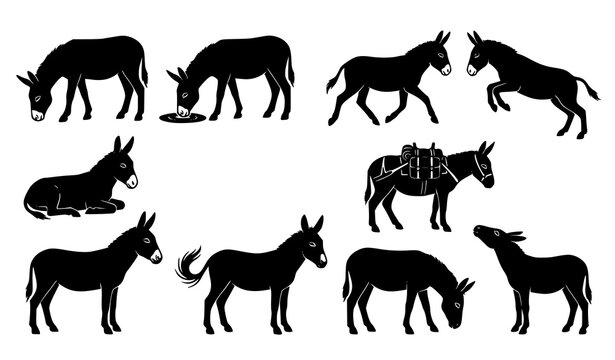 Donkey Silhouette Vector Collection with Grazing, Drinking, Kicking, Lying Down and Pack Carrying Action Poses