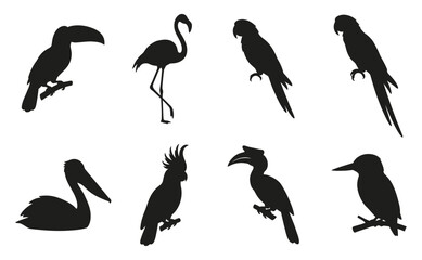 Tropical birds vector icons set with black silhouettes of toucan flamingo parrot pelican and hornbill for commercial graphic design elements © RATANCHANDRA