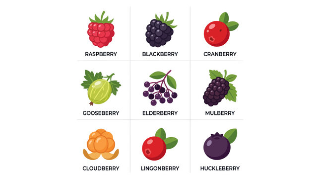 Assortment of colorful berries collection