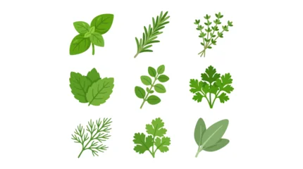 Assortment of fresh culinary herbs © Ganesha