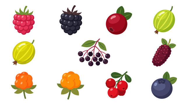 Assortment of fresh berries collection
