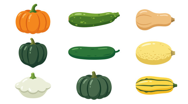 Assortment of fresh winter squash vegetables