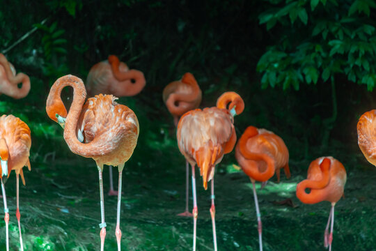 Parque Zool&oacute;gico Nacional, Santo Domingo, Rep&uacute;blica Dominicana