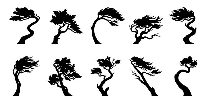 Collection of windswept bonsai tree silhouettes with twisted trunks, flowing branches and dramatic forms shaped by constant coastal winds