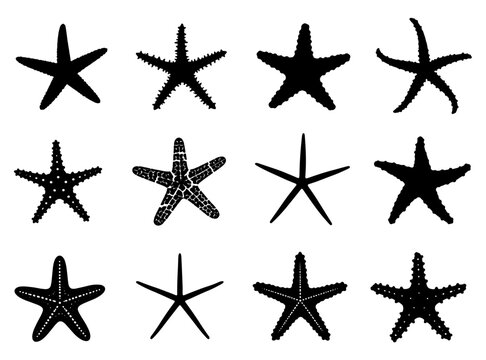 Collection of 12 unique black starfish silhouettes featuring diverse sea star forms with realistic marine textures, isolated on white background in clean vector style