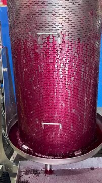 Red grape juice flows from a wine press into a collection container