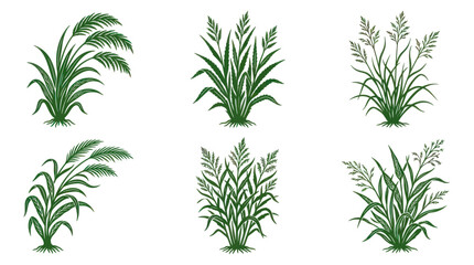 Green plant illustrations collection © Iyan