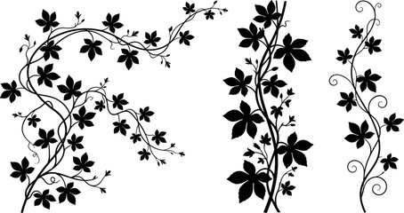 Collection of black silhouette climbing vines with leaves and elegant curly branches floral vector elements on white background © Mukti